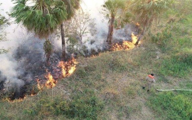 Governo do MS decreta emergência e pede ajuda por incêndios no Pantanal
