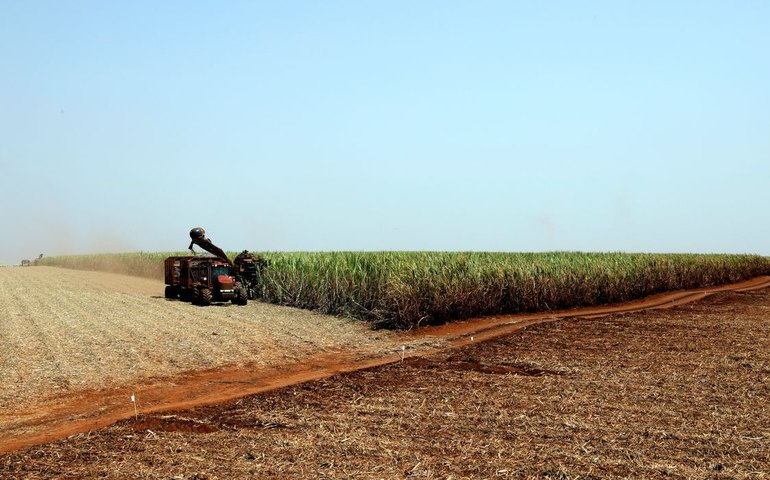 IBGE prevê safra recorde de 346 milhões de toneladas em 2025