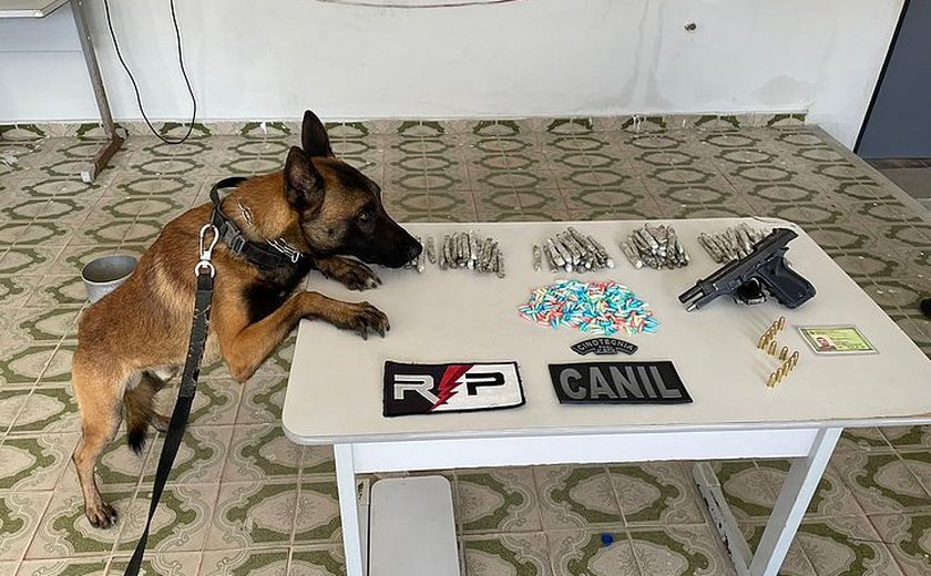 Drogas são encontradas em lava-jato por cão policial e traficante é preso em Arapiraca