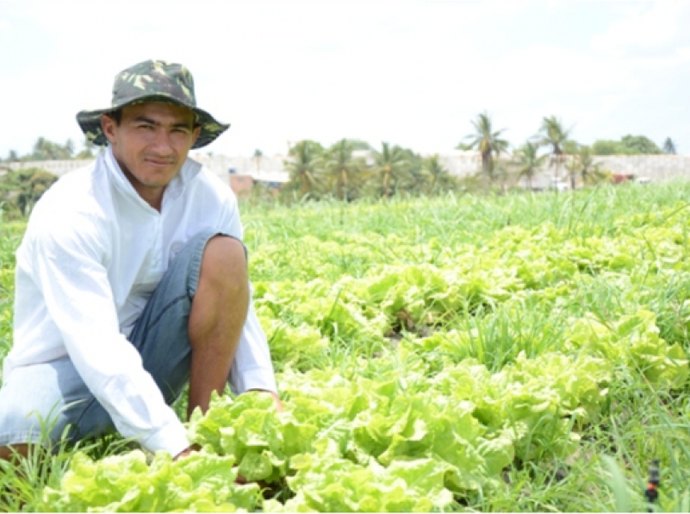 Projeto de Horticultura fortalece agricultores familiares em 50 municípios