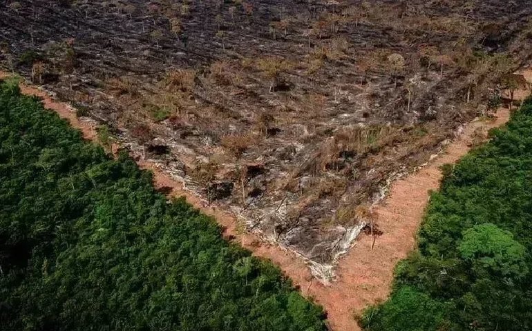 Ibama quer reduzir desmatamento pela metade no primeiro ano do governo lula