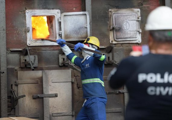 Aproximadamente 50kg de drogas apreendidas são incinerados pela polícia em Rio Largo