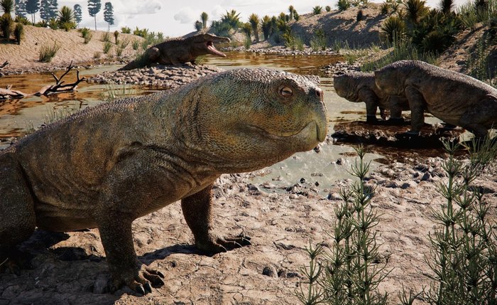 Representação artística do Isodapedon varzealis