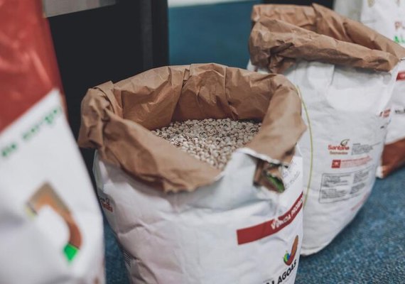 Agricultores familiares podem se inscrever no programa Planta Alagoas até o domingo (19)