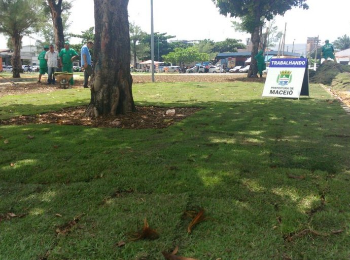 Secretário do Meio Ambiente inicia plantio de grama na Praça da Faculdade