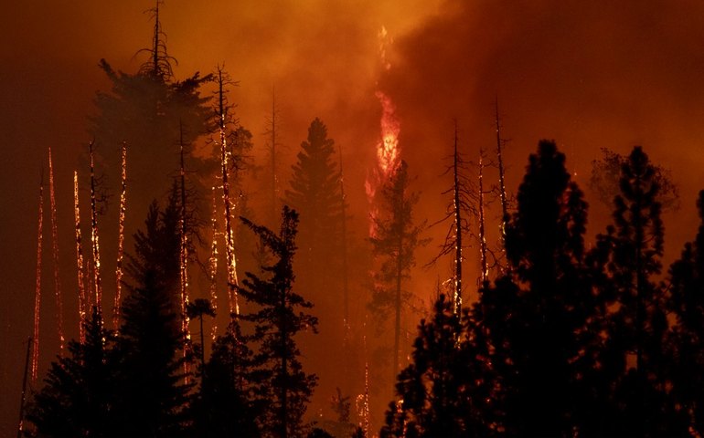 Incêndios florestais e onda de calor: estados do oeste dos EUA estão sob alerta