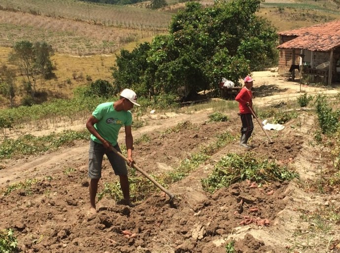 Mais de 80% dos agricultores familiares de Alagoas renegociam suas dívidas