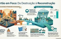 'Águas que Destroem: Caos em Palmeira e Tragédia em Piranhas'