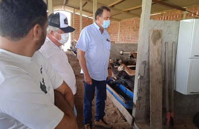 Prefeitura de Arapiraca incentiva a prática de ovinocaprinocultura com estudos e assistência técnica