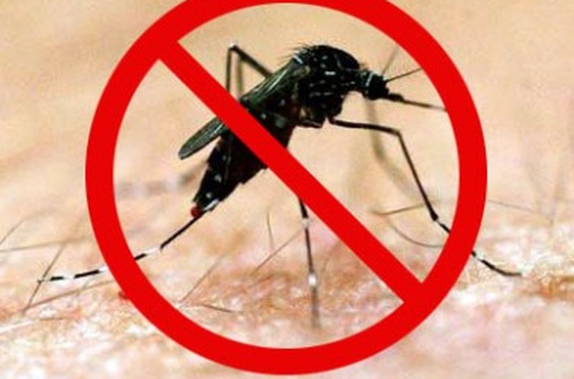 Prefeitura de Maceió encabeça mutirão de combate ao Aedes aegypti