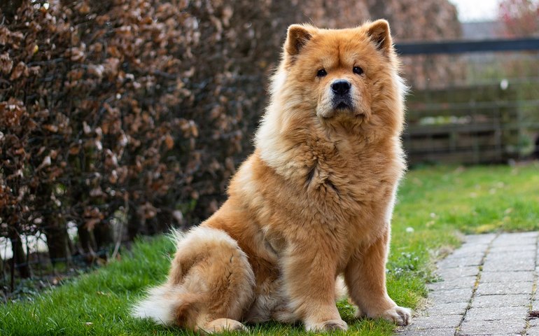 Aliança Contra Fome é resultado concreto e une esforços internacionais, diz secretário do MRE