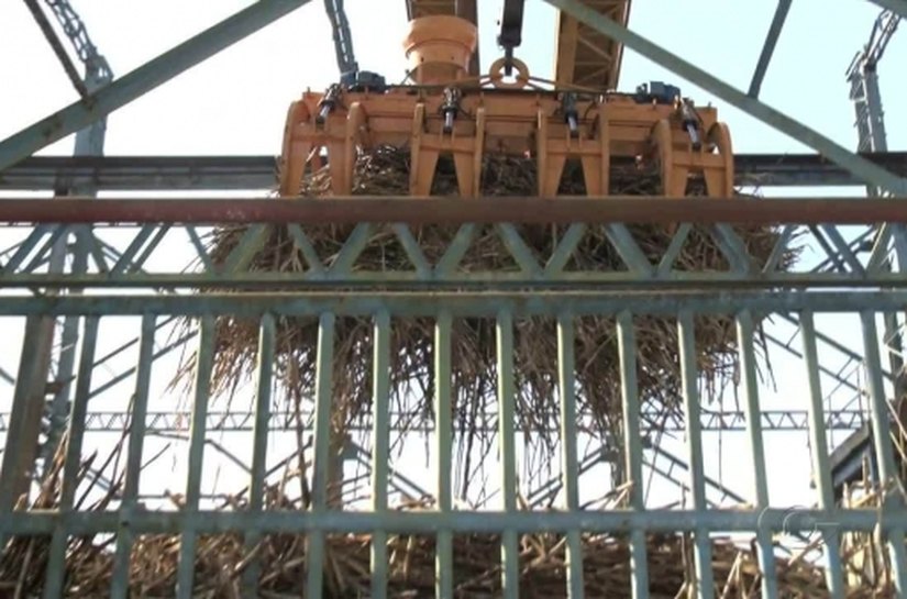 Copervales Agroindustrial inicia moagem da safra 2016/2017