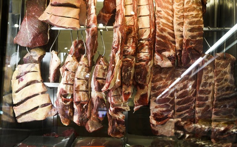 Plataforma digital traz dados sobre cadeia produtiva da carne bovina
