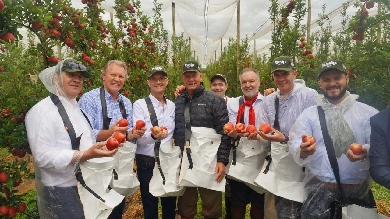 Vacaria sedia abertura oficial da Safra da Maçã 2026 em evento nacional no pomar da Rasip Agro