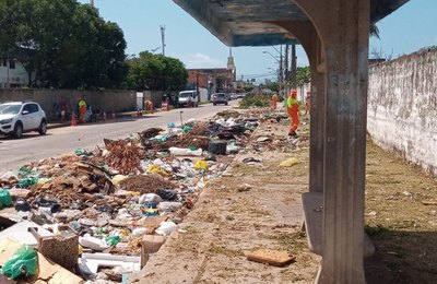 Na Ponta Grossa, Prefeitura retira 85 toneladas de resíduos e planta 120 mudas de árvores