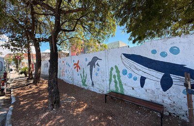 Autarquia de Limpeza Urbana transforma pontos de lixo em espaços de convívio