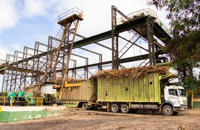 Copervales bate recorde de moagem de cana-de-açúcar pelo quinto ano consecutivo