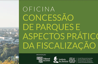 Instituto Rui Barbosa vai realizar oficina virtual no dia 3 de agosto para debater a concessão de parques públicos