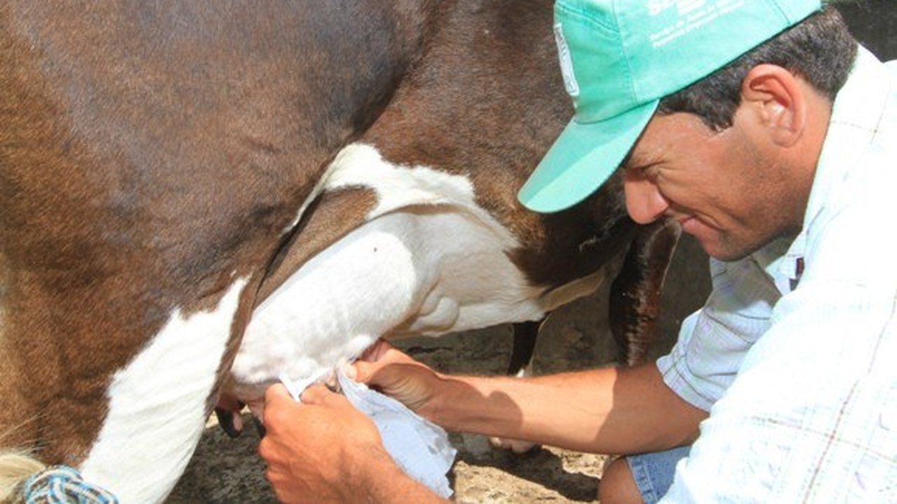 Produtores rurais participam de oficina sobre o Programa do Leite