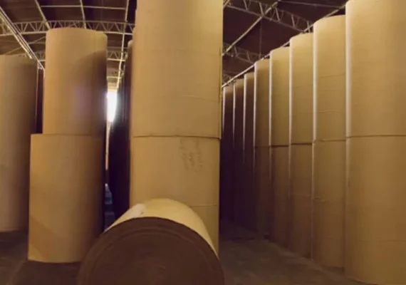 Empapel: expedição de papelão ondulado atinge 360,61 mil toneladas em maio, recorde para o mês