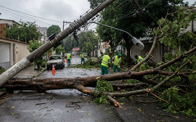 Chuva forte e ventos causam estragos no Rio: árvores e postes caídos interditam vias