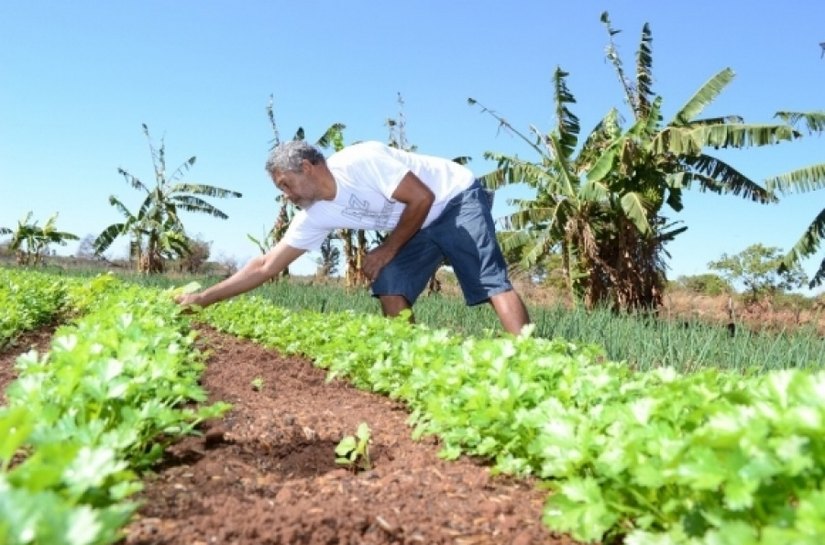 Governo vai liberar mais de R$ 2 milhões para pequenos negócios no Estado