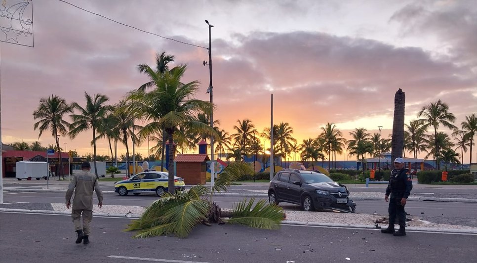 Motorista derruba coqueiro e recusa fazer teste do bafômetro em Aracaju