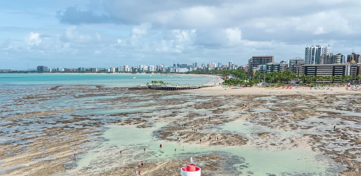 O que torna os corais de Alagoas únicos no Brasil?