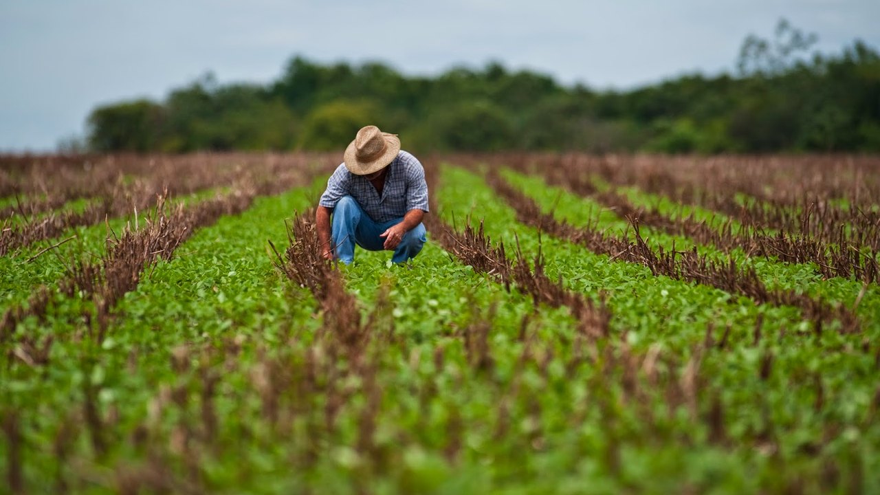 Tomada de crédito rural empresarial soma R$ 33,4 bilhões na safra atual