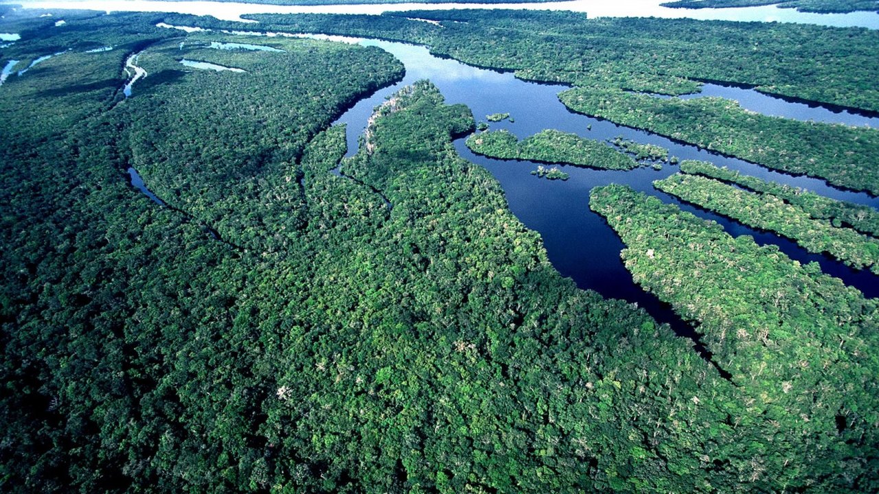 Crime dispara na Amazônia, e maioria diz que governo não age
