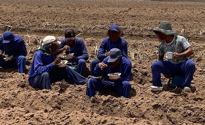 Trabalhadores resgatados em iniciativa contra o trabalho escravo