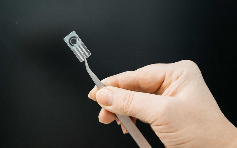 Rússia desenvolve sensor para detectar pesticidas em alimentos (FOTOS)