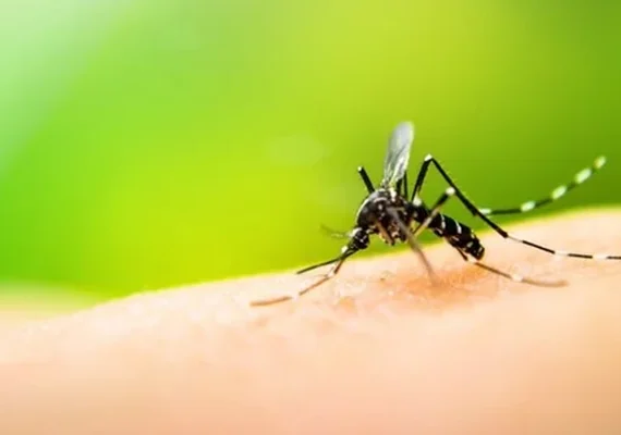 Casos de dengue caem em Alagoas na primeira semana de 2025, mas cenário nacional ainda preocupa