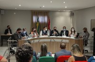 Comissão de Saúde questiona Governo sobre ações de combate à pandemia
