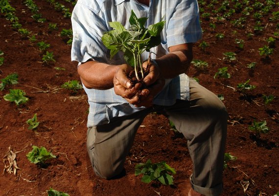 Primeira turma do Empretec Rural no Nordeste é aberta pelo Sebrae Alagoas