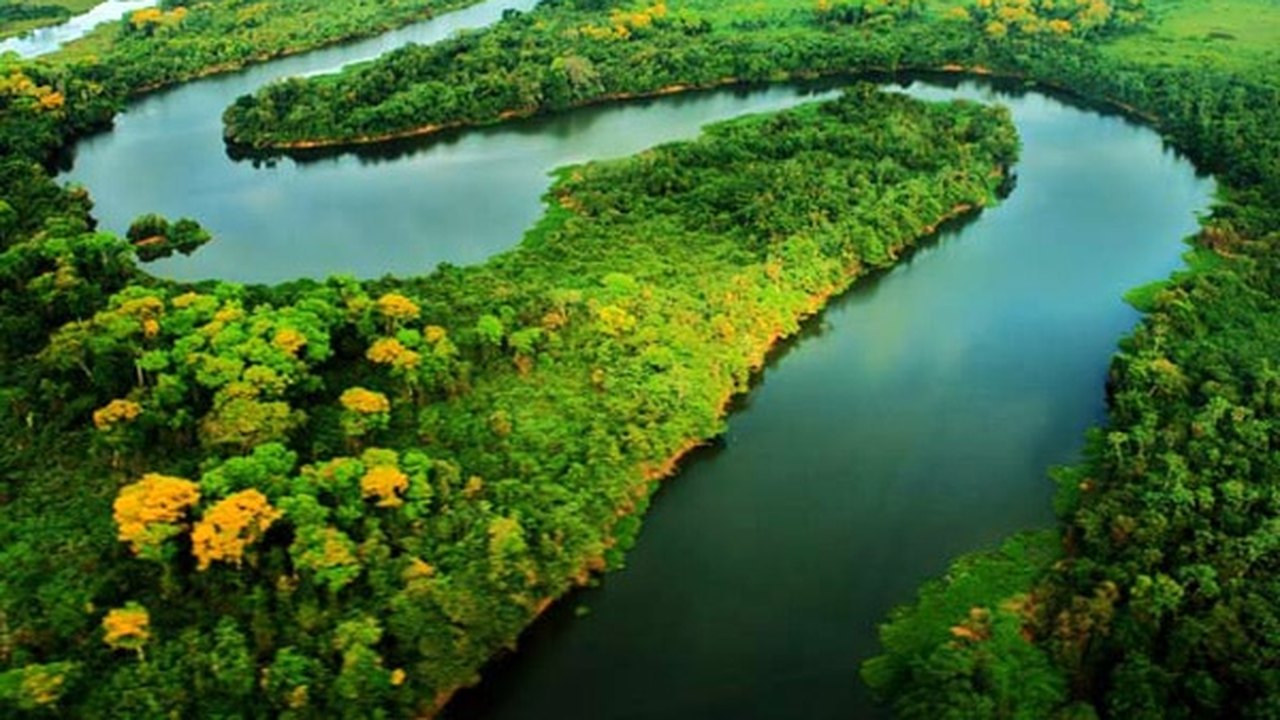 CMA recria Subcomissão do Pantanal e debaterá Fundo Amazônia