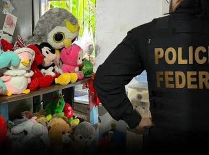 Prefeitura de Palmeira publica nota de apoio às ações da Polícia Federal contra abuso e exploração sexual de crianças