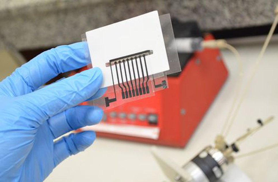 biomarcador_para_deteccao_de_alzheimer._credito_divulgacao_ufscar.jpg