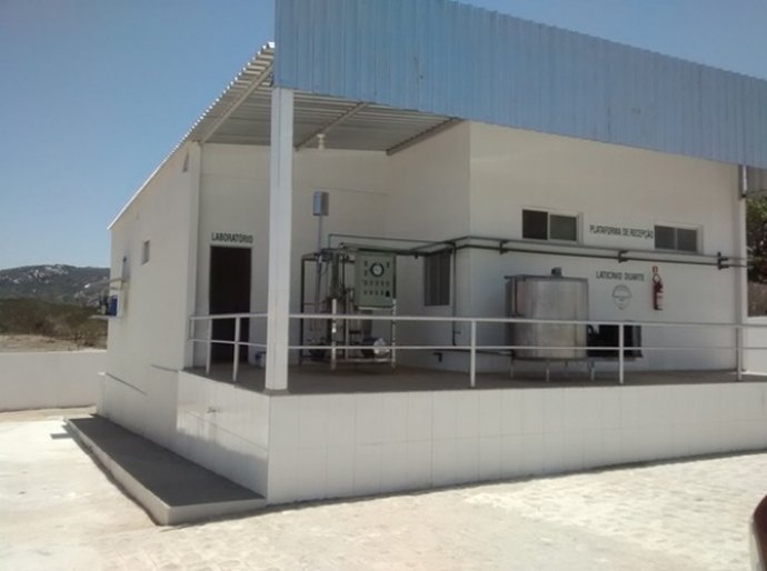 Laticínios iniciam uma nova realidade no Sertão de Alagoas