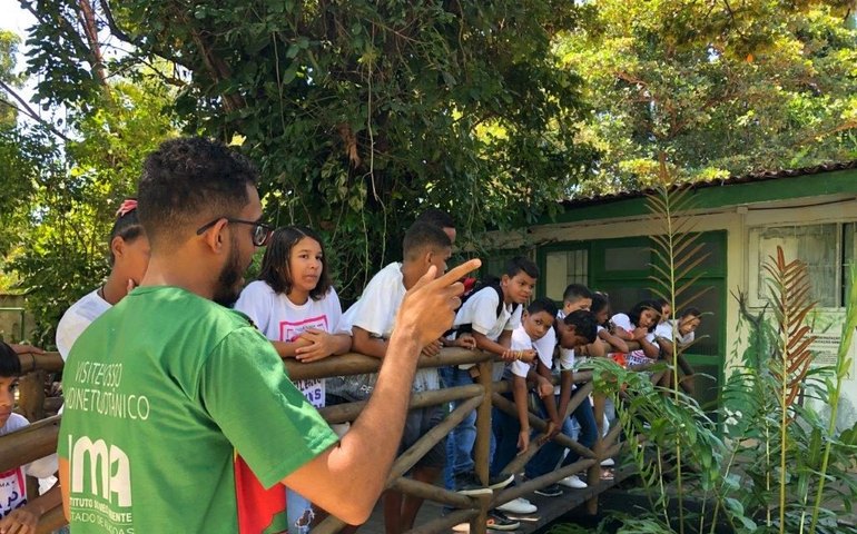 Alagoas é destaque nacional em redução do desmatamento na Mata Atlântica