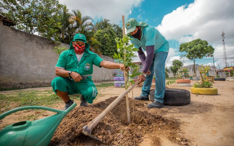 Em 2022, Prefeitura de Maceió já realizou o plantio de mais de 2.400 exemplares na capital