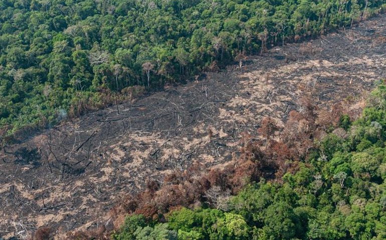 Empresários cobram combate ao desmate