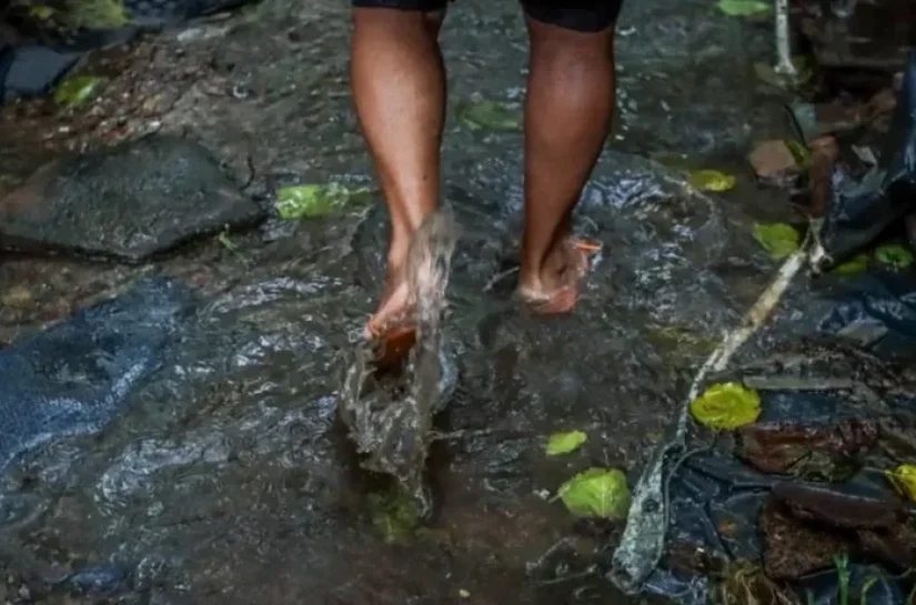 Saúde orienta população de Maceió sobre leptospirose no período chuvoso