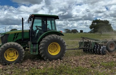 Agricultores familiares de Penedo estimam colher mais de 120 toneladas de feijão