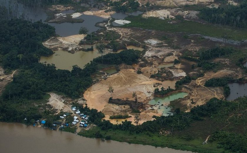 Desmate cai 30% na Amazônia e 25% no Cerrado e vira trunfo para a COP