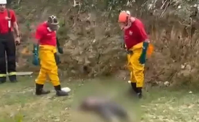 Corpo é encontrado boiando em trecho do riacho Reginaldo