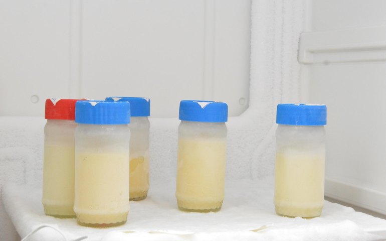 Bancos de Leite Humanos registram queda nas doações durante o inverno; saiba como e onde doar em Alagoas