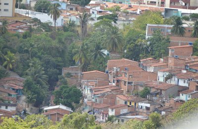 Sesau reforça a importância do diagnóstico, tratamento e prevenção da Leishmaniose