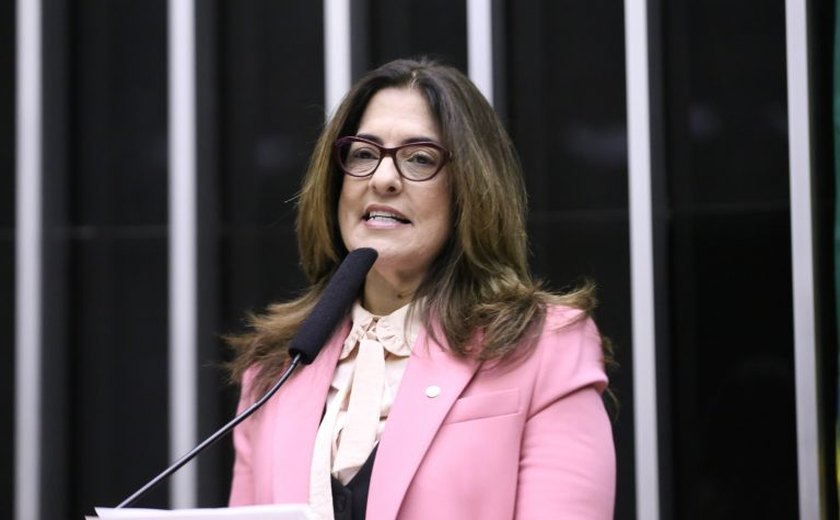 Comissão aprova projeto que renova celebração do Biênio da Primeira Infância do Brasil