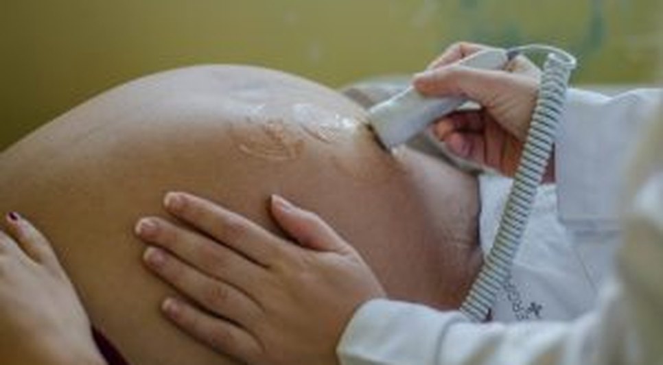 MATERNIDADE GRÁVIDA / Foto: SES